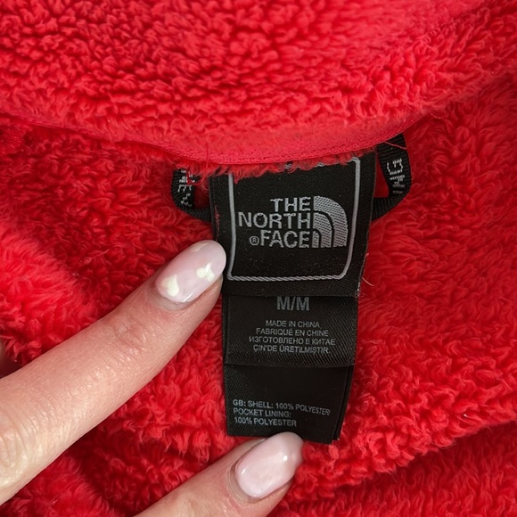 The North Face Winter Coat - Picture 4 of 8